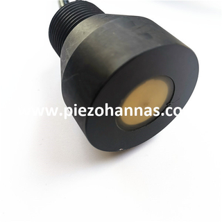 Tilpasset 650KHz ultralydsvinger for ultrasonisk slamsensor