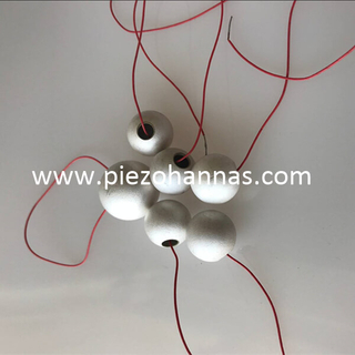 i componenti piezoelettrici in ceramica pi&ugrave; popolari per trasduttori subacquei 