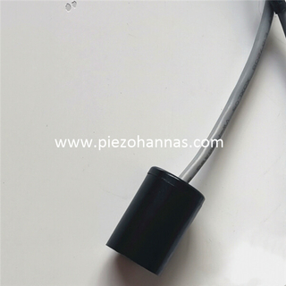 Senzor cu traductor cu ultrasunete de 200Khz care detectează viteza și direcția v&acirc;ntului pentru stațiile meteo