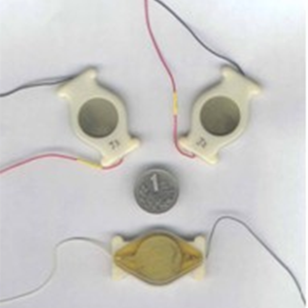 Low Frequency Acoustic Sensor Geophone for Seismic Detection from China