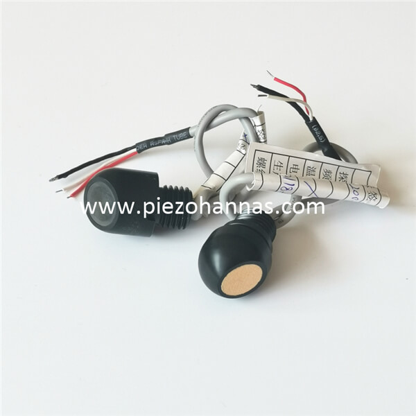 200KHz ultralydstransducer til ultralydsanemorumbometer