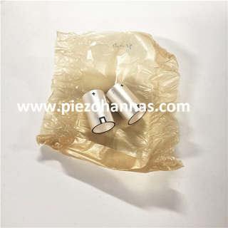 سلك ذو شكل أسطواني يؤدي إلى أنبوب كهرضغطية للسماعات المائية