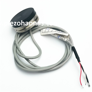 2MHz ステンレス鋼水中超音波流量計超音波流量計用トランスデューサ