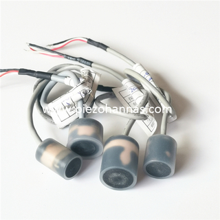 Anti-corrosion Ultrasonic Transducer for Gas Flow Rate 
