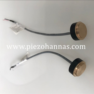 Mesingani 1MHz ultrazvučni pretvarač protoka za ultrazvučni mjerač protoka