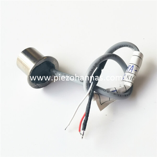 超音波ガス流量計用在庫チタン合金超音波トランスデューサ