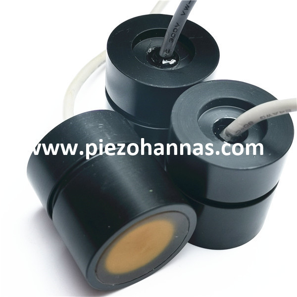 Sensor Transduser Tingkat Lumpur Ultrasonik 650KHz Kustom 