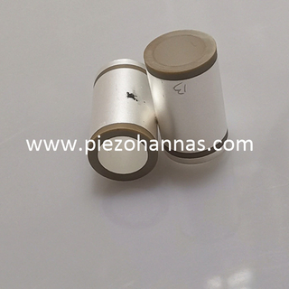 PZT5A フレックステンショナルトランスデューサ用カスタム圧電セラミック
