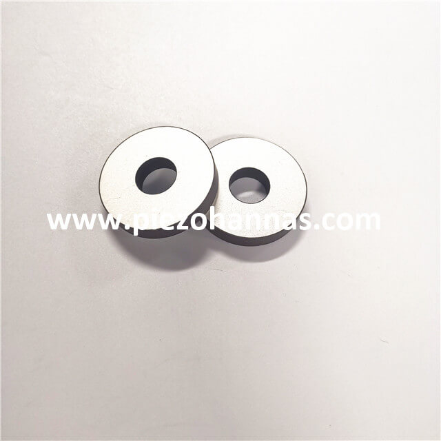 High Frequency Piezo Ring Actuator for Microscopy from China