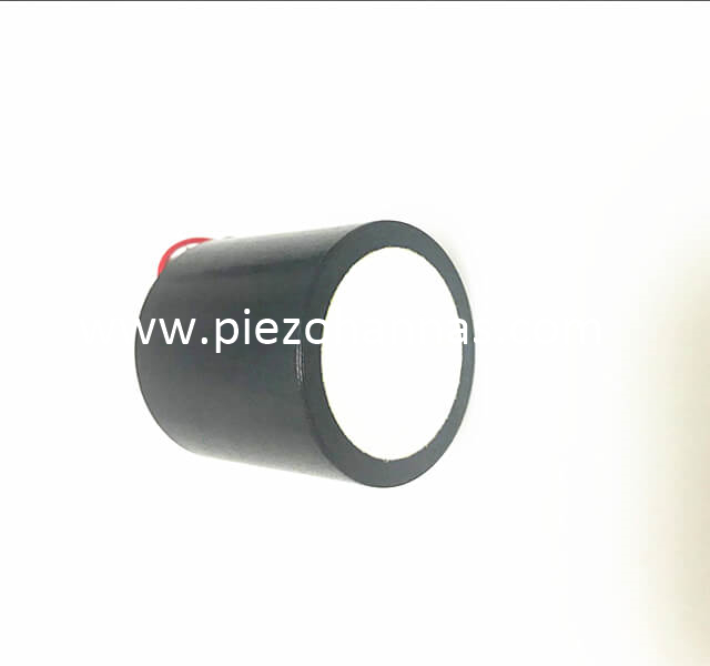 Ciorcad Transducer Ultrasonach Piezoelectric 75KHz le haghaidh Tomhas Cian
