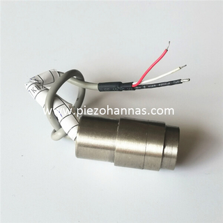 Ультрагукавы пераўтваральнік з тытанавага сплаву 200 кГц для вымярэння патоку газу