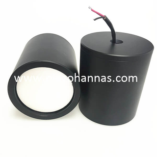 Lembar Data Sensor Jarak Ultrasonik 30 KHz untuk 20 Meter