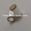 Bahan Piezoceramic Pzt Piezo Ceramic Tiub Piezoelektrik Ultrasound