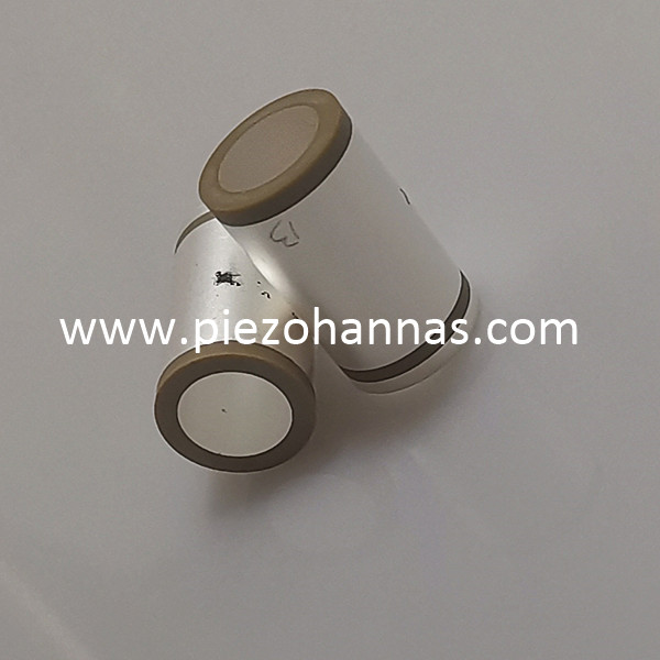 Bahan Piezoceramic Pzt Piezo Ceramic Tiub Piezoelektrik Ultrasound