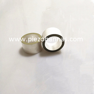  Sensor silinder piezoelektrik pzt tabung piezoceramic tipe P-51navy