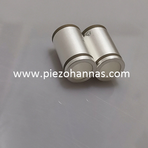 Pzt Ceramic Tube Sensitive Piezoelectric Transducer from China